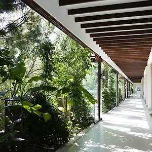 the-lifeco-bodrum-well-being-detox-center.aegeanhotels.net/